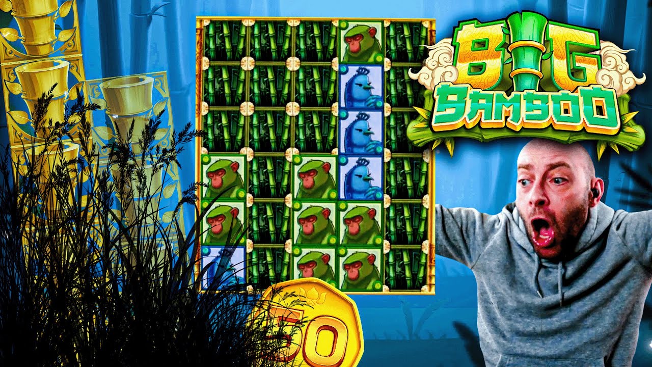 Large Bamboo Slot is an amazing port video game